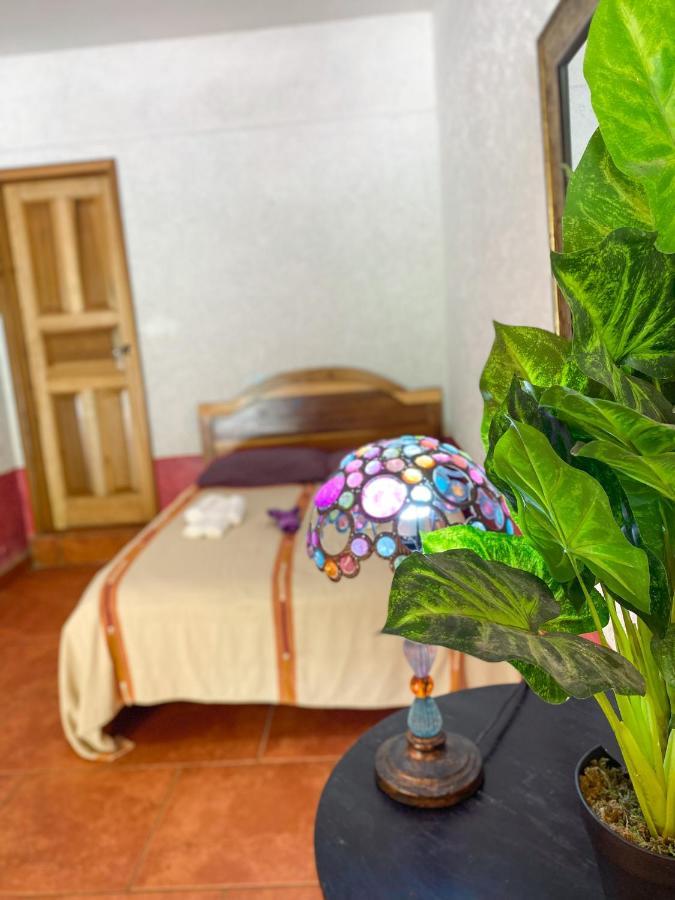 El Mirador De Tansu Otel Lanquín Dış mekan fotoğraf